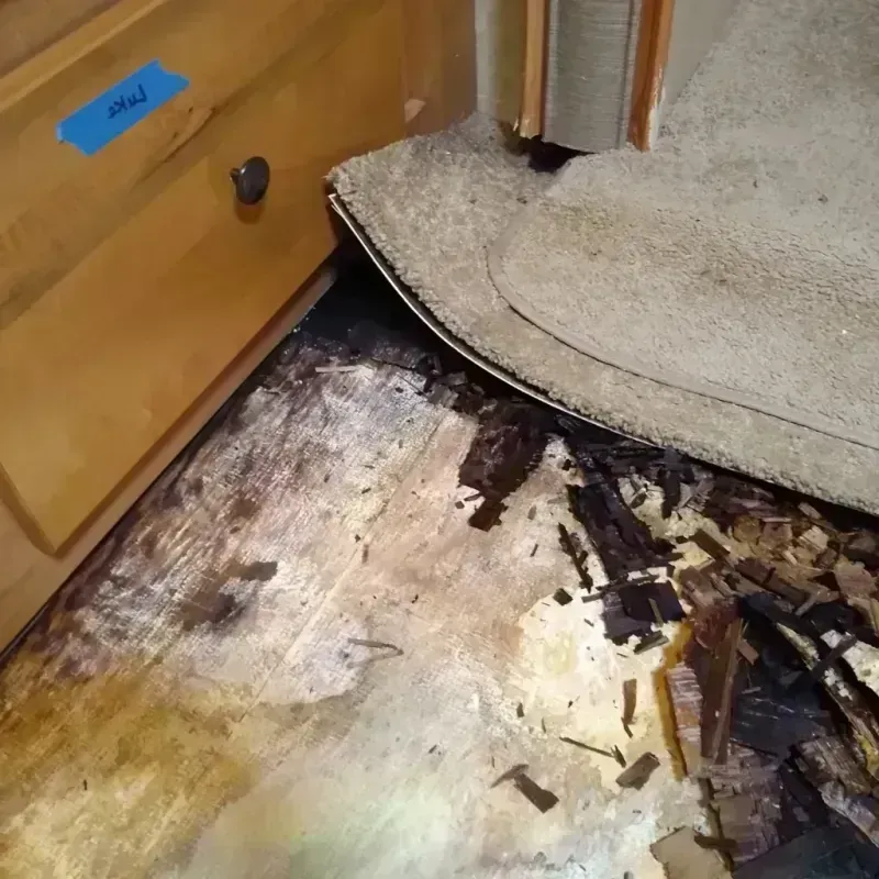 Best Wood Floor Water Damage Service in Franklin, MI